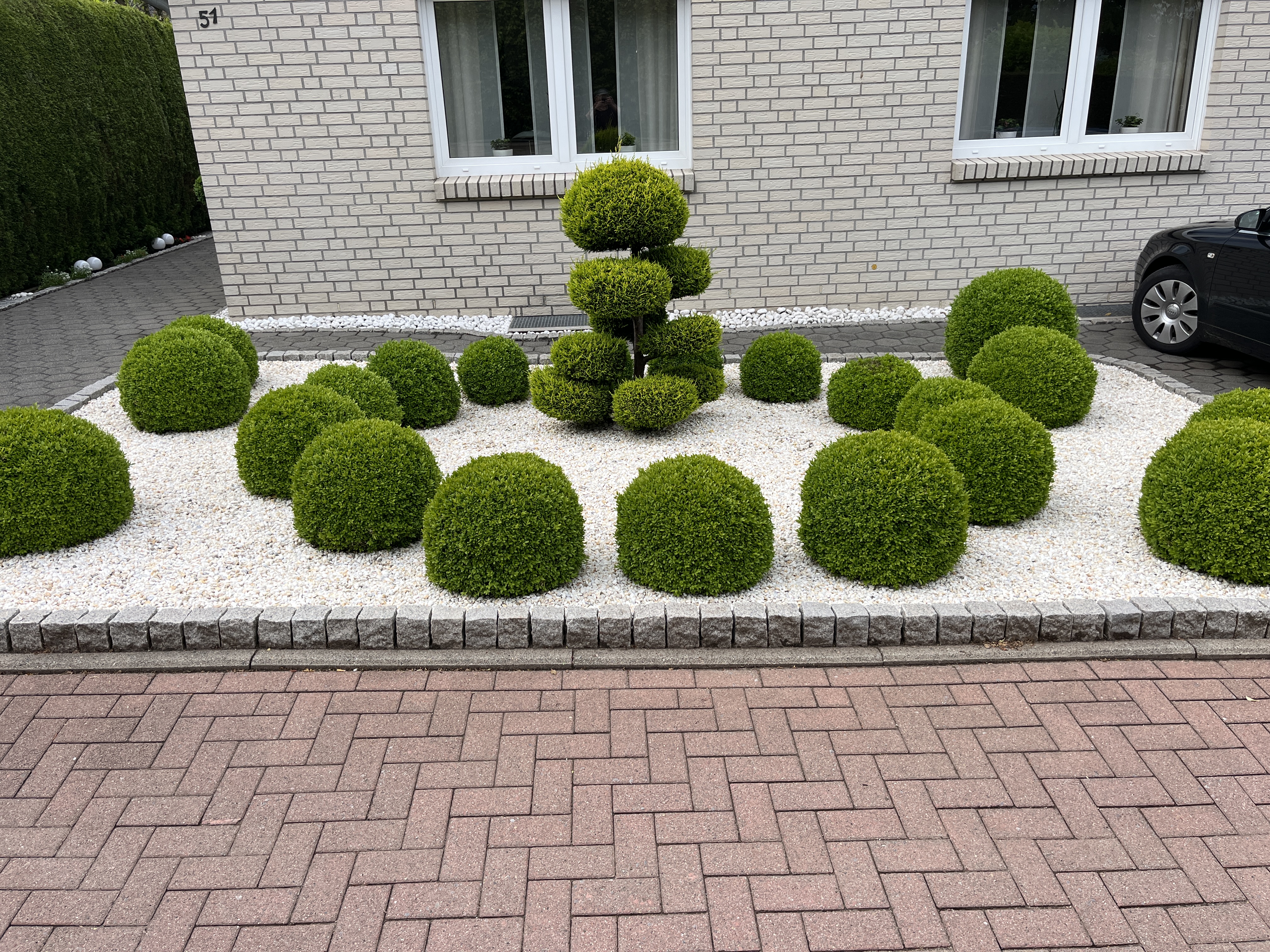 250612 Antibrumm 0152x0553